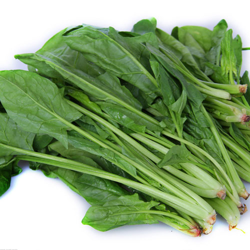 鲜波菜