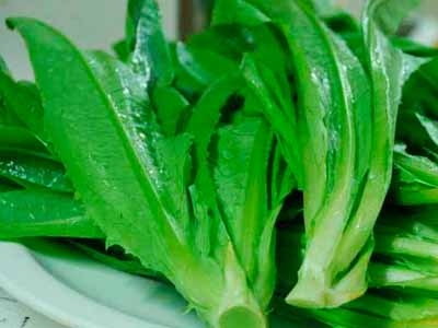 油麦菜