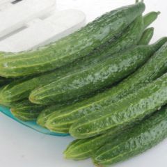 东莞蔬菜配送夏天如何保鲜