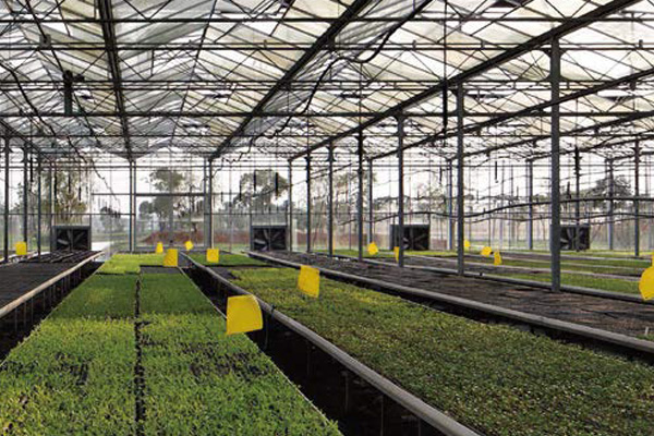 清溪分局积极打造干净整洁、安全放心的农贸市场消费环境东莞蔬菜配送