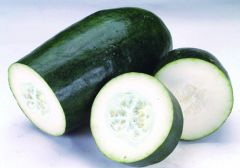 东莞蔬菜配送之冬瓜营养