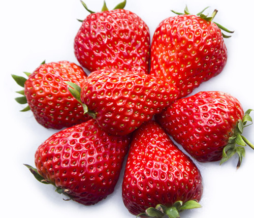 东莞蔬菜配送水果营养价值－草莓