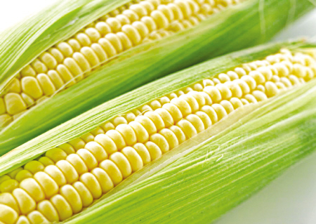 东莞蔬菜配送公司对洪水灾后疫情预防工作