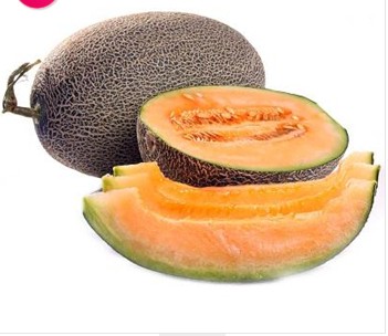 如何选择东莞蔬菜配送公司