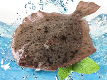 东莞蔬菜配送关于海鲜必须注意食用方法