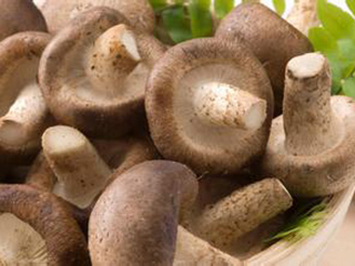 东莞蔬菜配送常识