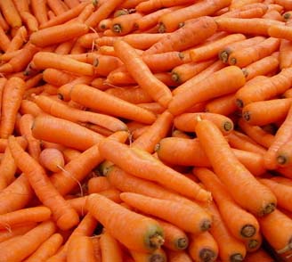 东莞蔬菜配送公司性价比高的蔬菜