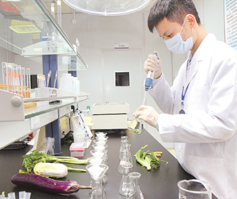 东莞蔬菜配送公司五常法管理