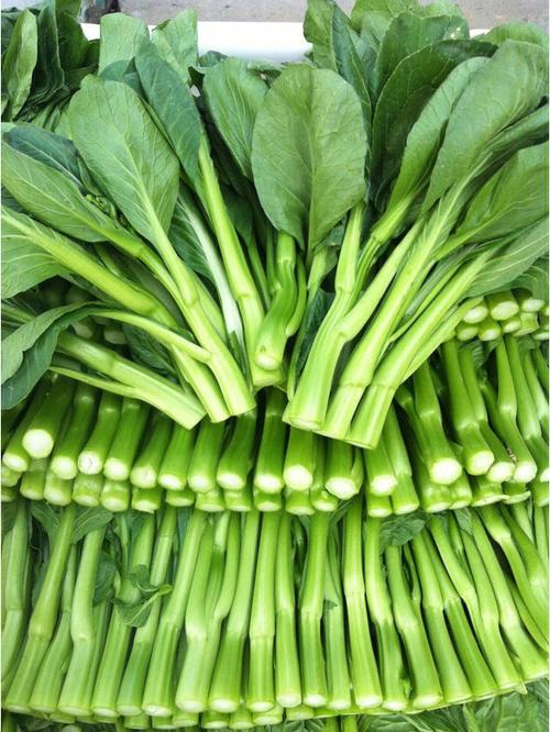 东莞蔬菜配送公司－蔬菜常识