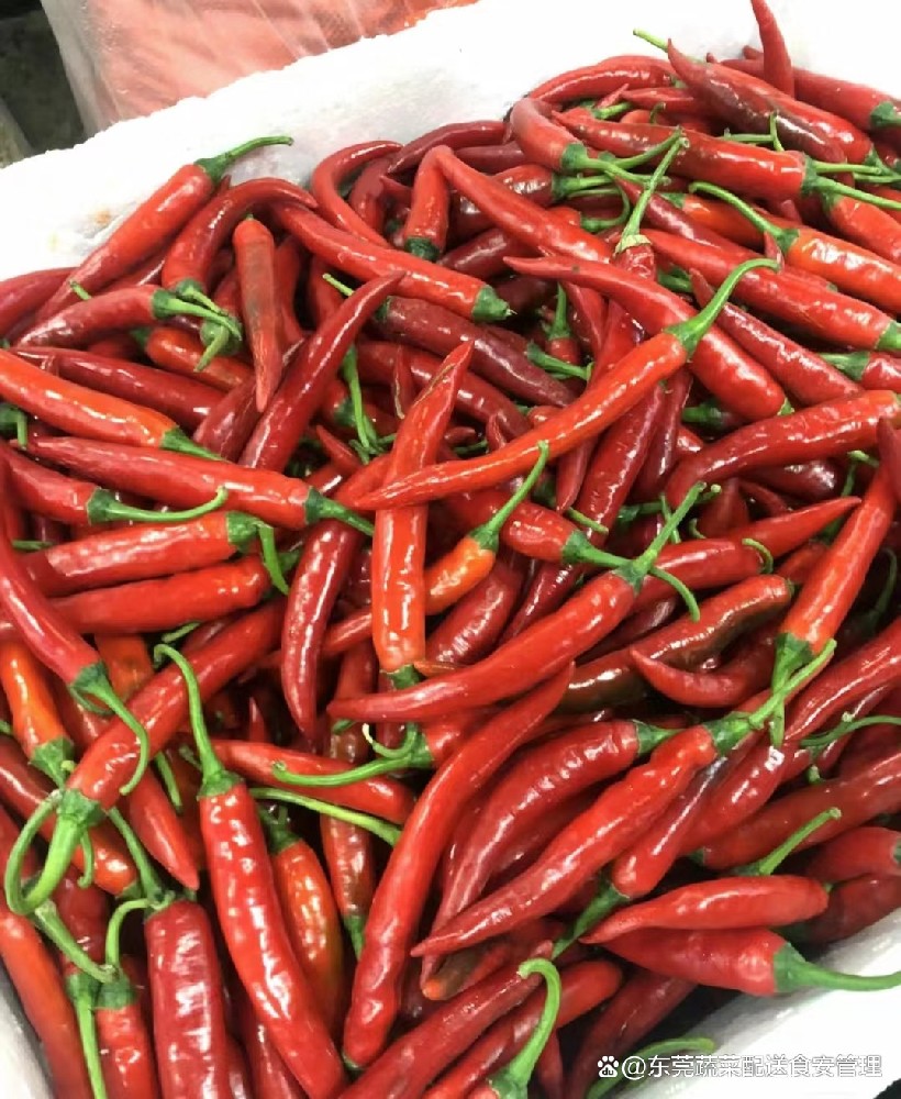 东莞蔬菜配送餐饮浪费第六批典型经验做法