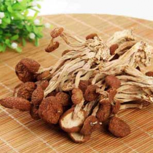 东莞蔬菜配送菇类