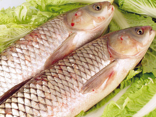 东莞蔬菜配送要如何做好服务